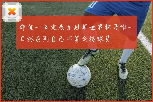 邵佳一坚定表示进军世界杯是唯一目标否则自己不算合格球员